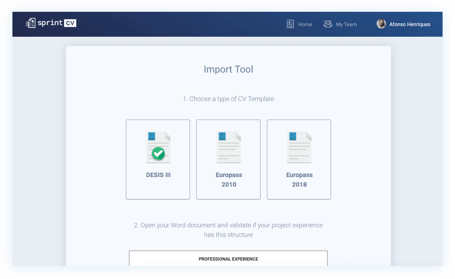 Sprintcv IT Consultant Import Tool